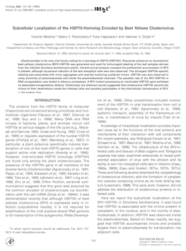 Subcellular Localization of the HSP70-Homolog Encoded by Beet Yellows Closterovirus