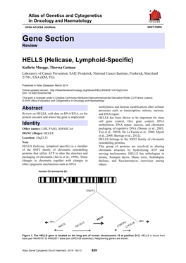 Gene Section Review