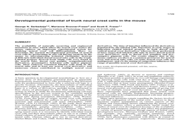 Developmental Potential of Trunk Neural Crest Cells in the Mouse