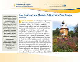 How to Attract and Maintain Pollinators in Your Garden MARISSA V