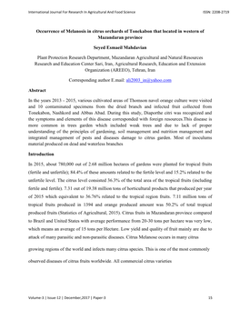 Occurrence of Melanosis in Citrus Orchards of Tonekabon That Located in Western of Mazandaran Province Seyed Esmaeil Mahdavian P