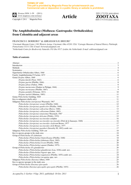 The Amphibulimidae (Mollusca: Gastropoda: Orthalicoidea) from Colombia and Adjacent Areas