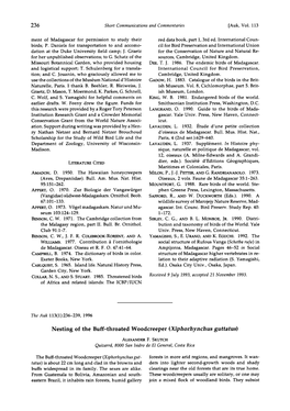 Nesting of the Buff-Throated Woodcreeper (Xiphorhynchus