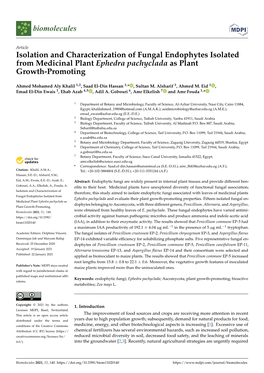 Isolation and Characterization of Fungal Endophytes Isolated from Medicinal Plant Ephedra Pachyclada As Plant Growth-Promoting