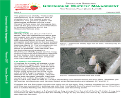 GREENHOUSE WHITEFLY MANAGEMENT PAGE 4 PRODUCTION GUIDELINES Commission 01-06, Watsonville, CA