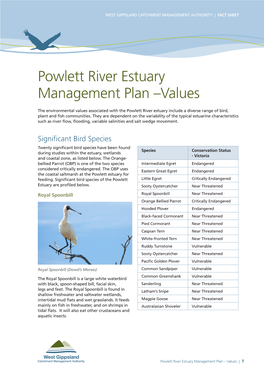 Powlett River Estuary Management Plan –Values