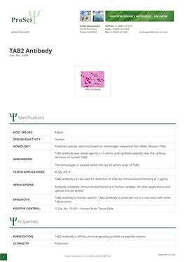 TAB2 Antibody Cat