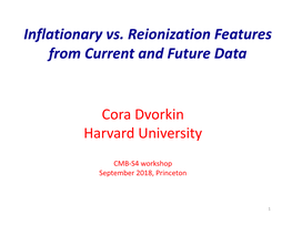 Inflationary Vs. Reionization Features from Current and Future Data