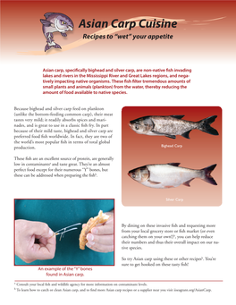 Asian Carp Cuisine Recipes to “Wet” Your Appetite