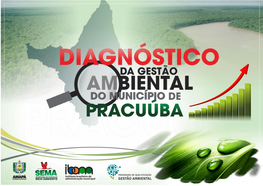 Diagnóstico Da Gestão Ambiental Do Município De Pracuúba