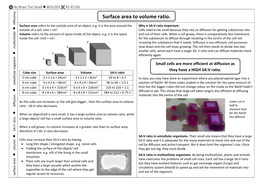 Surface Area to Volume Ratio