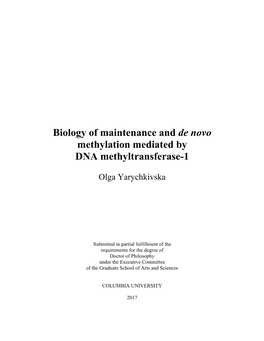 Biology of Maintenance and De Novo Methylation Mediated by DNA Methyltransferase-1