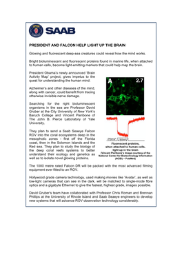 President and Falcon Help Light up the Brain