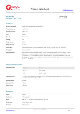 Anti-GOT2 Antibody (ARG41582)