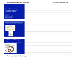 Ibioseminars: Marc Kirschner, March 2008 the Origin of Vertebrates, Part 2 the American Society for Cell Biology 1