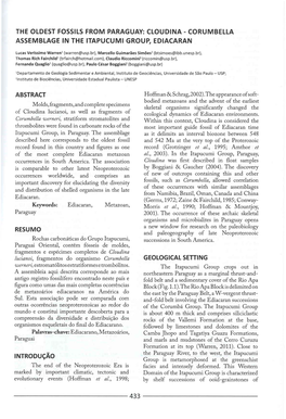 The Oldest Fossils from Paraguay: Cloudina - Corumbella Assemblage in the Itapucumi Group, Ediacaran