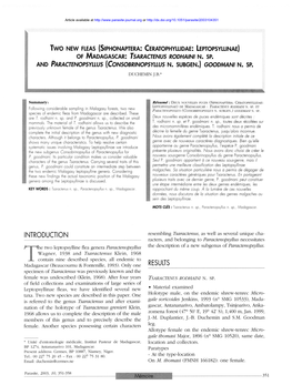 Siphonaptera: Ceratophyllidae: Leptopsyllinae) De Madagascar : Tsaractenus Rodhaini N