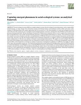 Capturing Emergent Phenomena in Social-Ecological Systems: an Analytical Framework