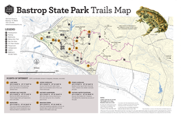 Bastrop State Park Trails