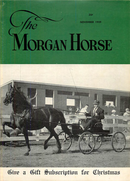 6Iur Tt 6Ift Ittisrription Fur Tilriottnag NEW ENGLAND MORGAN HORSE ASSOCIATION