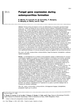 Fungal Gene Expression During Ectomycorrhiza Formation