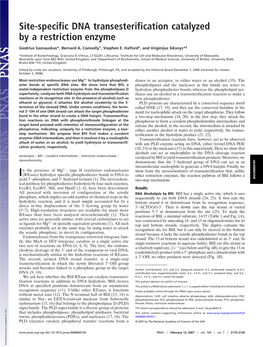 Site-Specific DNA Transesterification Catalyzed by a Restriction Enzyme