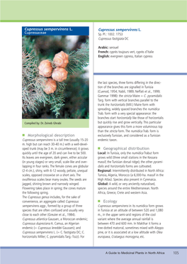 105 Morphological Description Geographical Distribution Ecology
