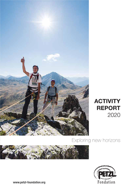 Activity Report 2020