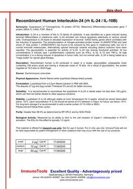 Rh IL-24 / IL-10B)