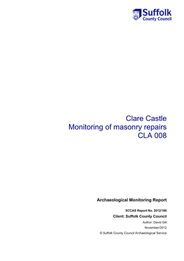 Clare Castle Monitoring of Masonry Repairs CLA 008