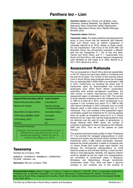 Panthera Leo – Lion