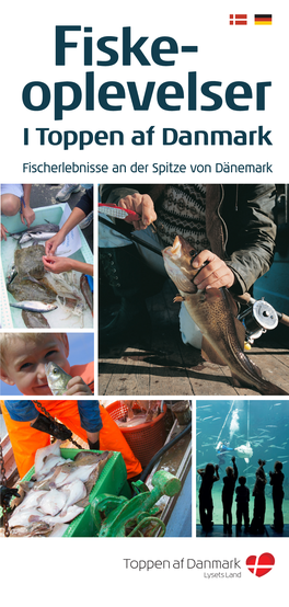 Fiske- Oplevelser I Toppen Af Danmark Fischerlebnisse an Der Spitze Von Dänemark 2