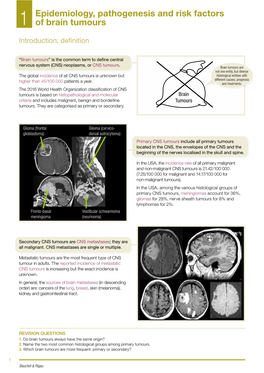 2017 ESMO Essentials for Clinicians Neuro Oncology