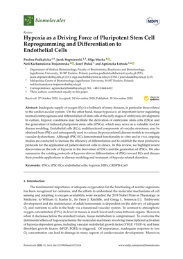 Hypoxia As a Driving Force of Pluripotent Stem Cell Reprogramming and Diﬀerentiation to Endothelial Cells