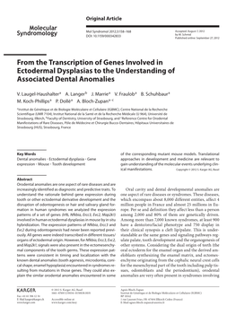 From the Transcription of Genes Involved in Ectodermal Dysplasias to the Understanding of Associated Dental Anomalies