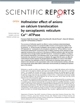 Hofmeister Effect of Anions on Calcium Translocation by Sarcoplasmic