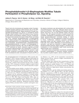 Phosphatidylinositol 4,5-Bisphosphate Modifies Tubulin