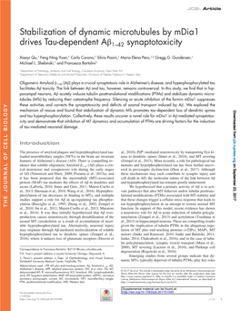 Stabilization of Dynamic Microtubules by Mdia1 Drives Tau-Dependent Aβ1–42 Synaptotoxicity