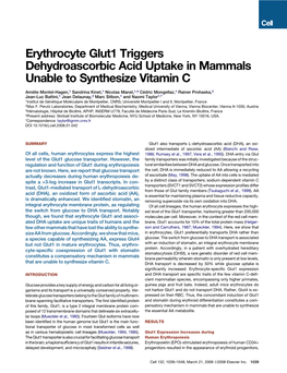 Erythrocyte Glut1 Triggers Dehydroascorbic Acid Uptake in Mammals Unable to Synthesize Vitamin C