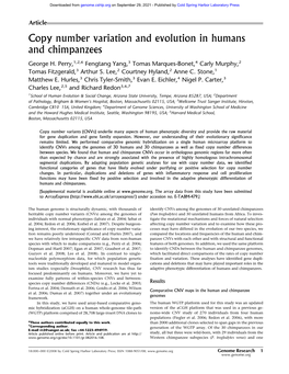 Copy Number Variation and Evolution in Humans and Chimpanzees