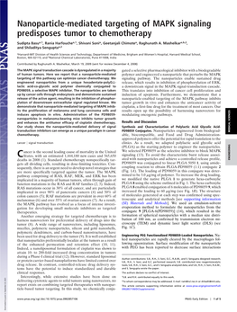 Nanoparticle-Mediated Targeting of MAPK Signaling Predisposes Tumor to Chemotherapy