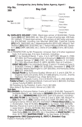 Bay Colt Barn 4 Hip No