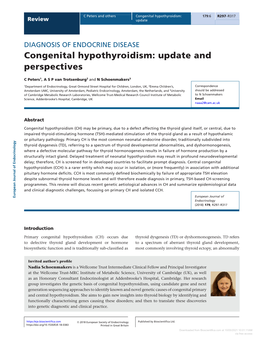 Congenital Hypothyroidism: Update and Perspectives