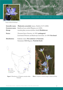 Thelymitra Atronitidaatronitida (Blackhood Sun-Orchid)