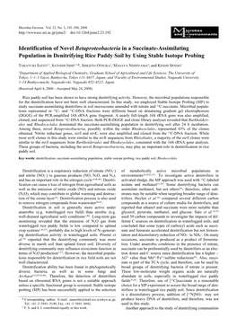 Identification of Novel Betaproteobacteria in a Succinate-Assimilating Population in Denitrifying Rice Paddy Soil by Using Stable Isotope Probing