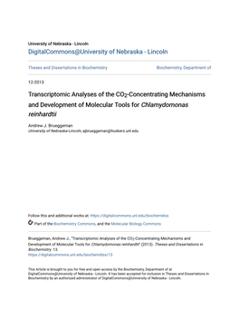 Concentrating Mechanisms and Development of Molecular Tools for Chlamydomonas Reinhardtii