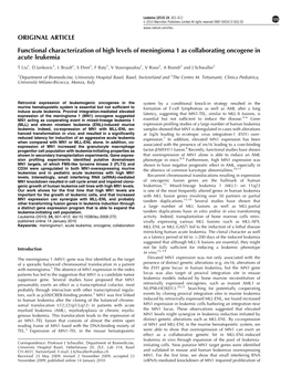 Functional Characterization of High Levels of Meningioma 1 As Collaborating Oncogene in Acute Leukemia