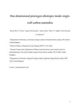 One-Dimensional Pnictogen Allotropes Inside Single- Wall Carbon Nanotubes