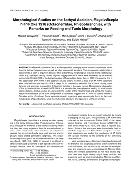 Octacnemidae, Phlebobranchia), with Remarks on Feeding and Tunic Morphology