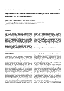 Supramolecular Assemblies of the Ascaris Suum Major Sperm Protein (MSP) Associated with Amoeboid Cell Motility